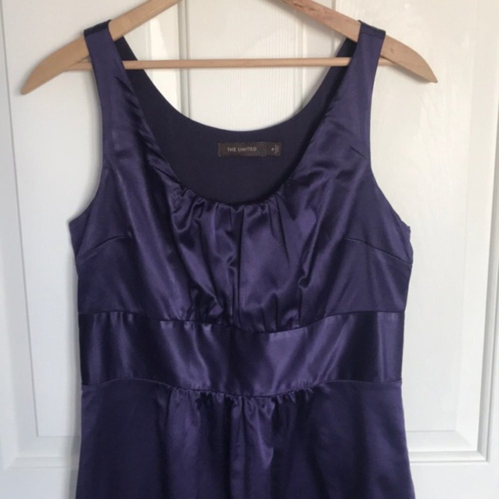The Limited Dress